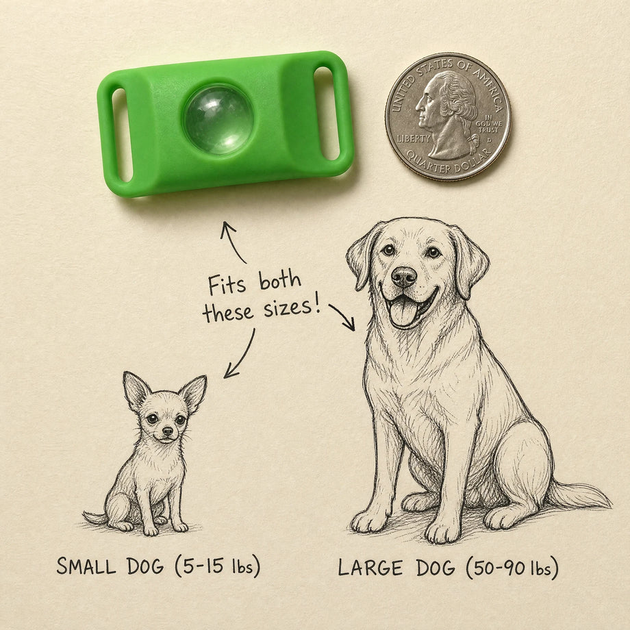 How can a small Pendant possibly protect an entire dog?