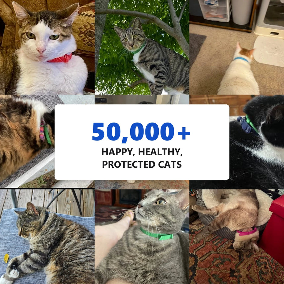 Over 50,000 happy, healthy, protected dogs wearing Furtect