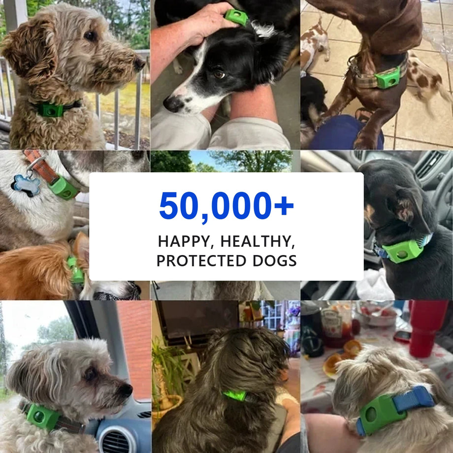 Over 50,000 happy, healthy, protected dogs wearing Furtect