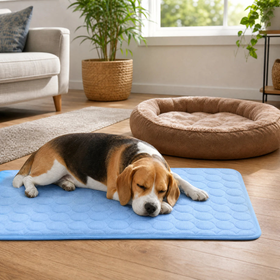 Will he actually use it, or is this an expensive floor decoration?