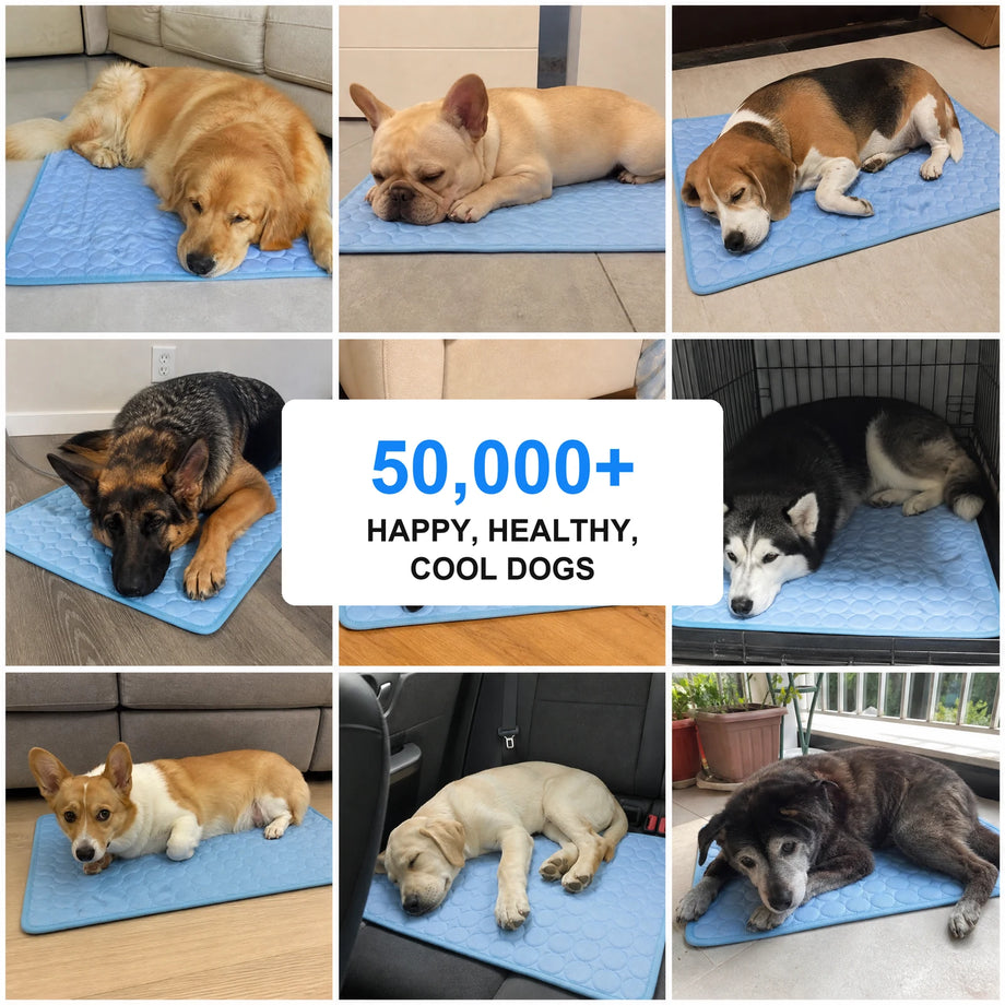 Over 50,000 happy, healthy, protected dogs wearing Furtect