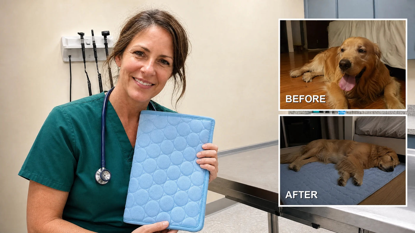 Dr. Hannah Caldwell, DVM with the Furtect harness, before and after