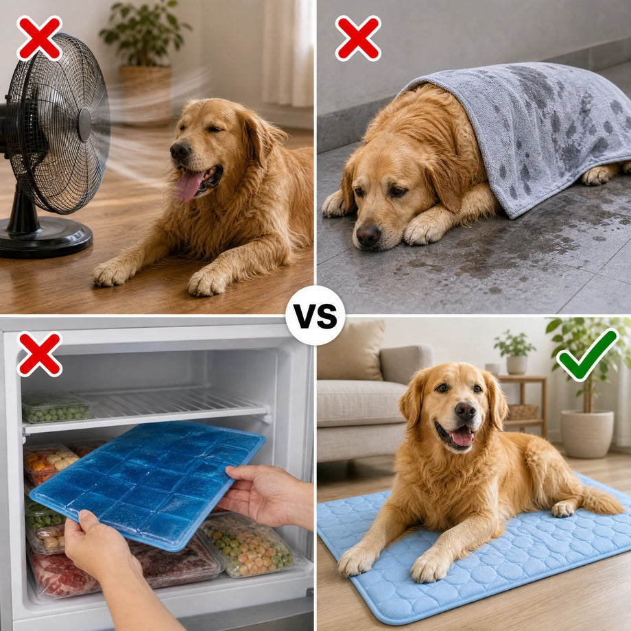 Does it really work with no power and no freezer?