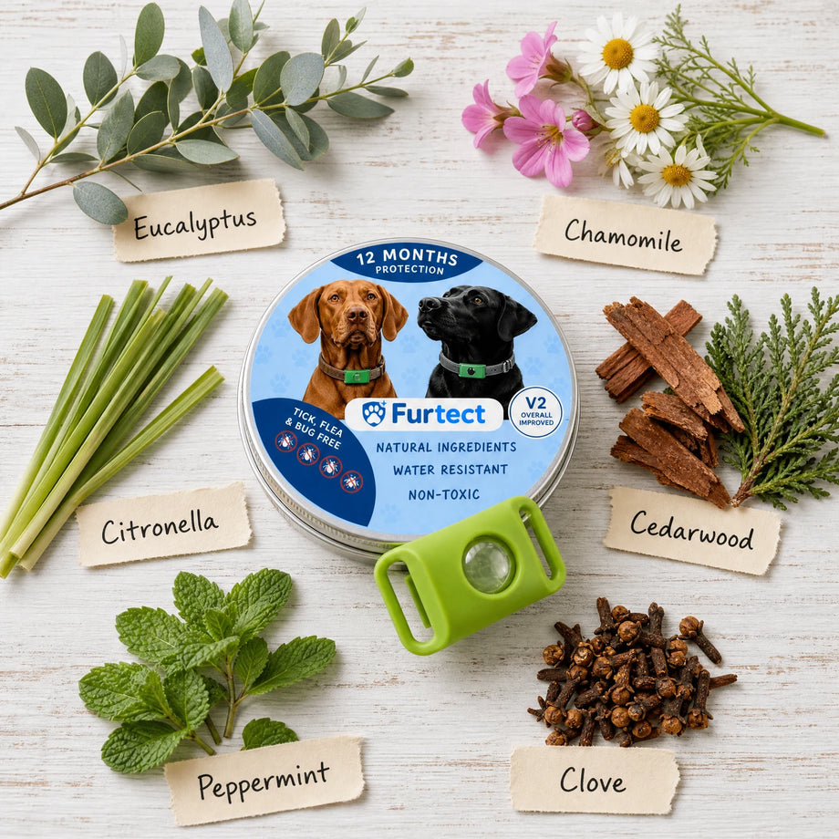 What is actually in it?